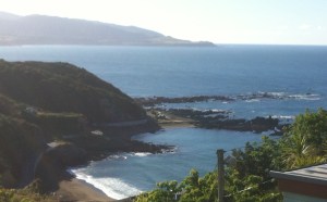 Houghton Bay & Te Raekaihau Point