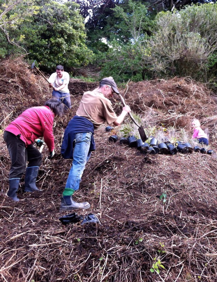 “Trees for Travel” – Carbon Offset&nbsp;scheme