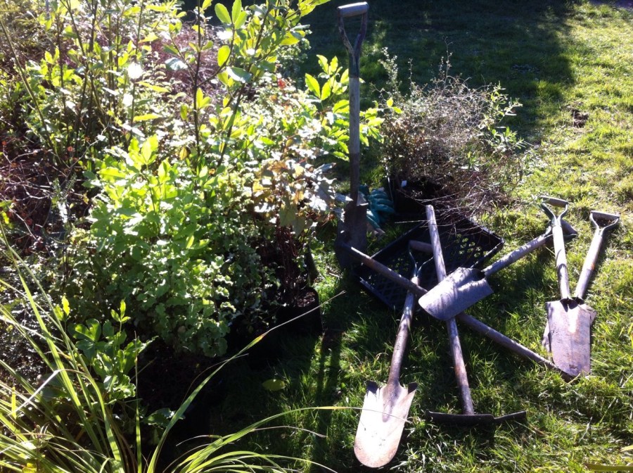 Forest man: what you can do, an inspiration to us&nbsp;all….