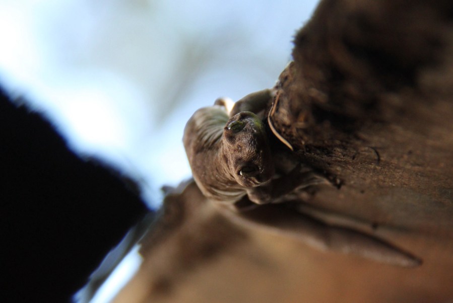 Like we own the&nbsp;place