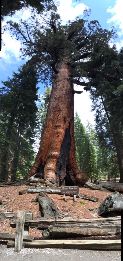 Dance of the Grizzly&nbsp;Giant