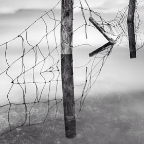 Wellington Winner 2014