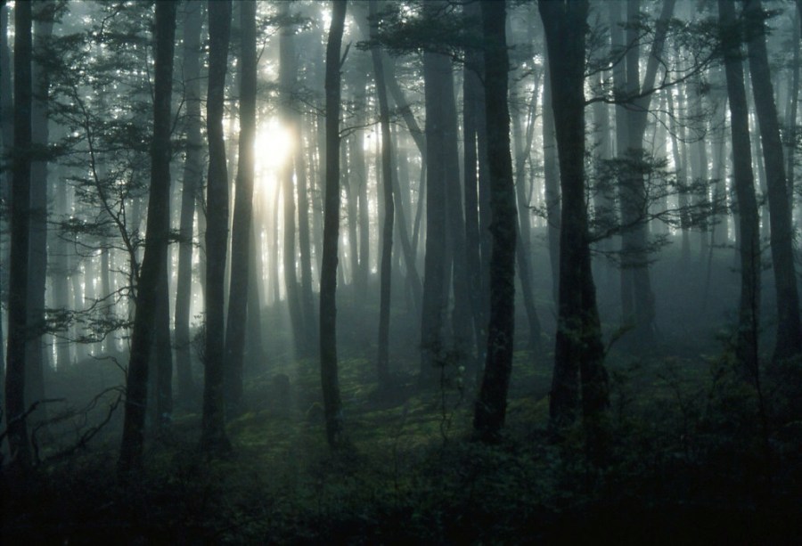 We’re all in this&nbsp;together!