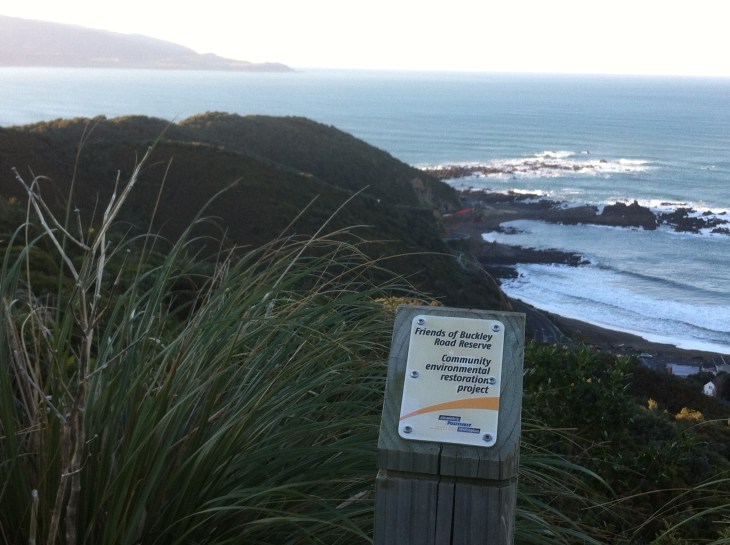 Buckley Road Reserve on the South Coast, Wellington