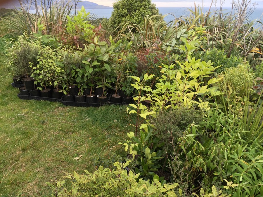 In the field of opportunity…