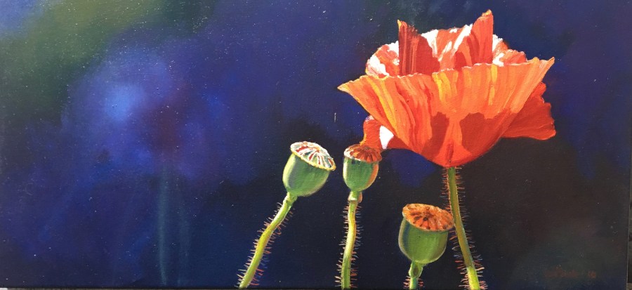 Chasing the Light: my exhibition opens Friday&nbsp;night