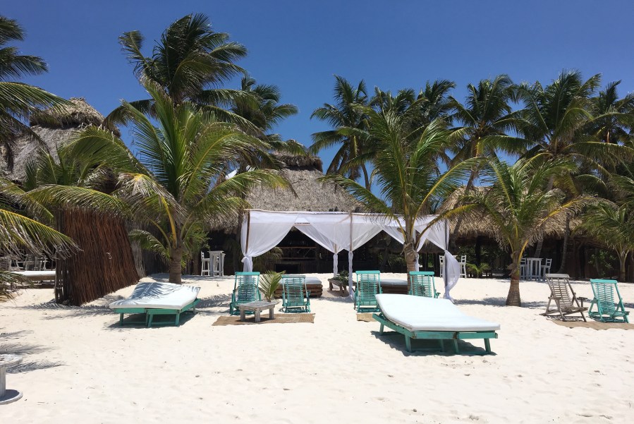 Embrace the Mystery!